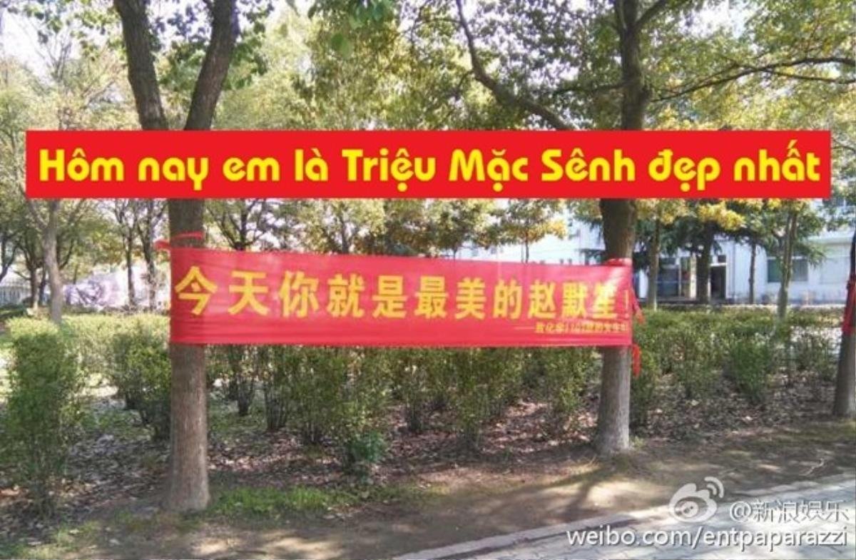 "Hôm nay em là Triệu Mặc Sênh đẹp nhất"