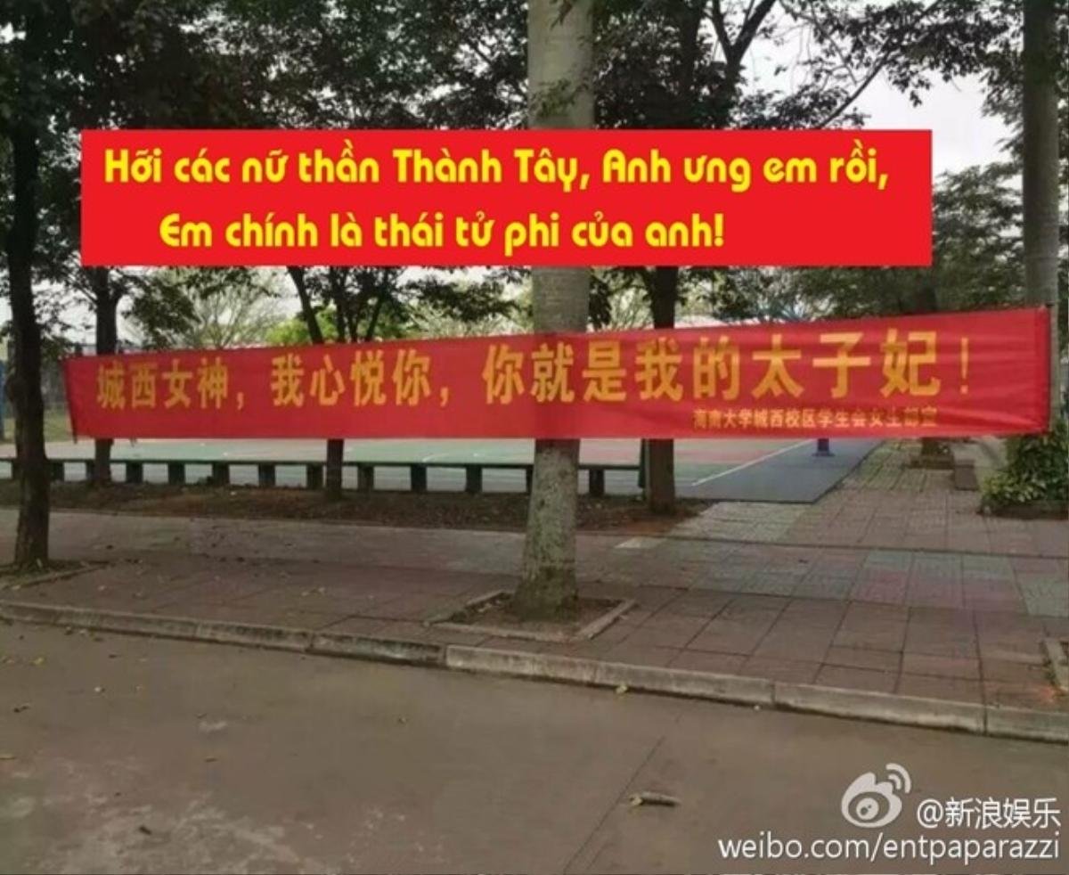 "Hỡi các nữ thần Thành Tây, anh ưng em rồi, em chính là Thái tử phi của anh!"