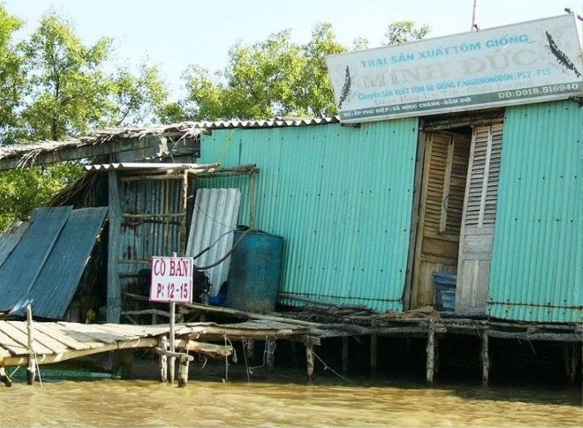 Trại tôm Minh Đức, nơi Hào Anh bị vợ chồng Giang - Thơm hành hạ đến thân tàn ma dại.