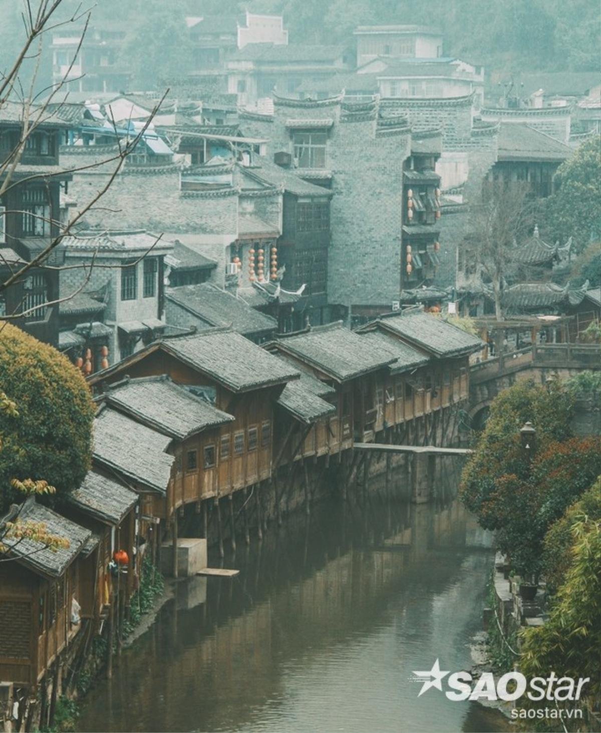 fenghuang09