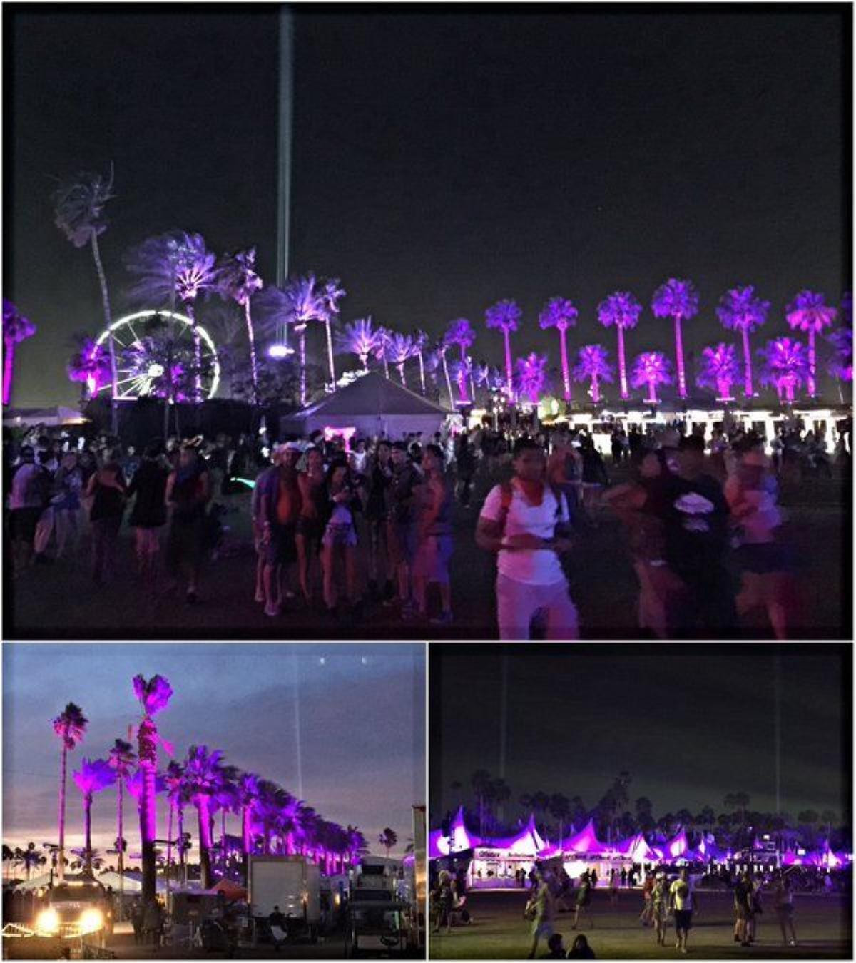 Một Coachella 'phủ tím'