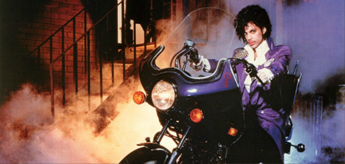 primary_purple-rain-bike