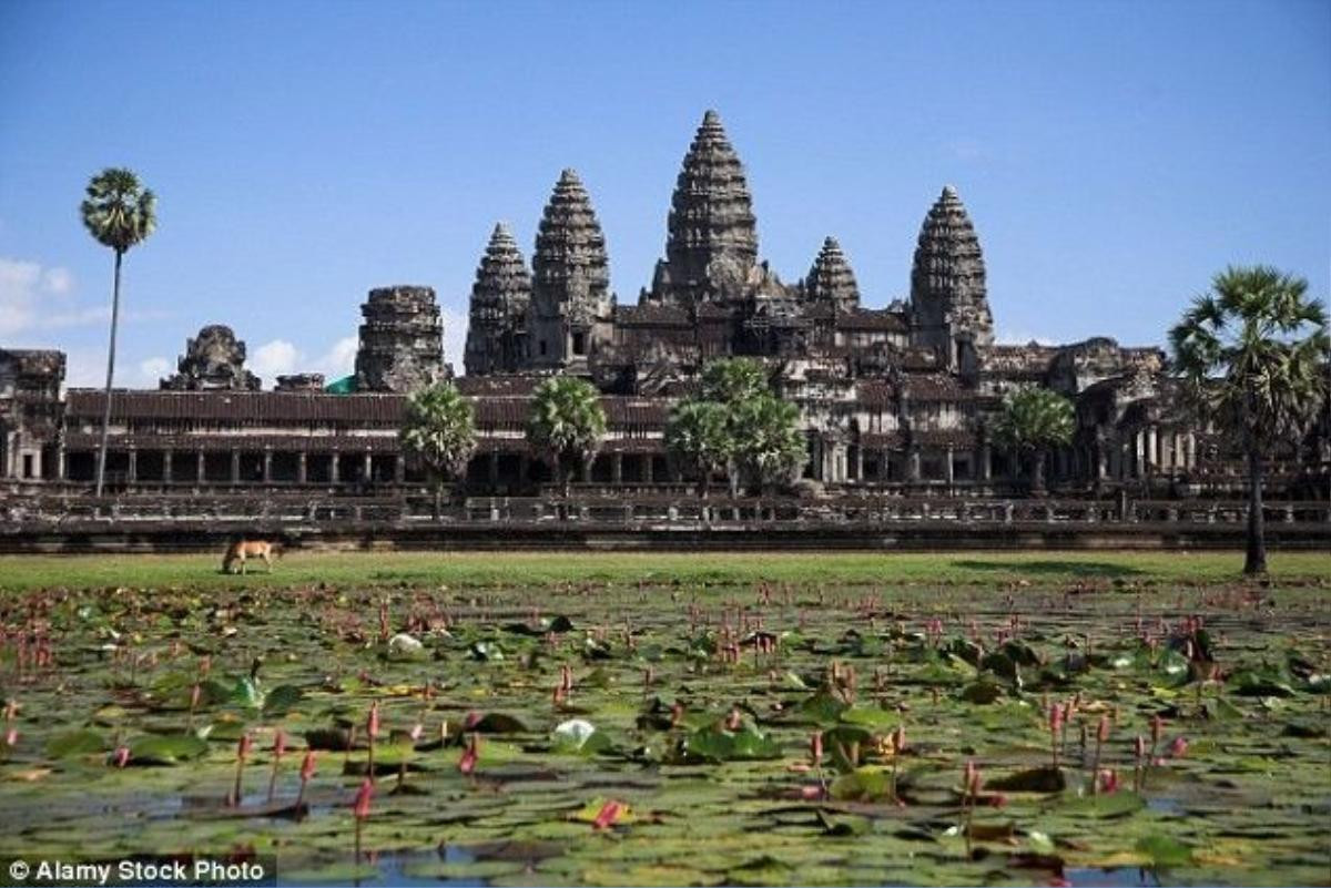 Hàng chục chú voi phải chở các du khách đến khu đền Angkor Wat trong khí hậu vô cùng nắng nóng