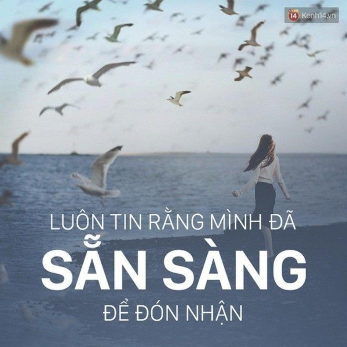 hình báo bài 8