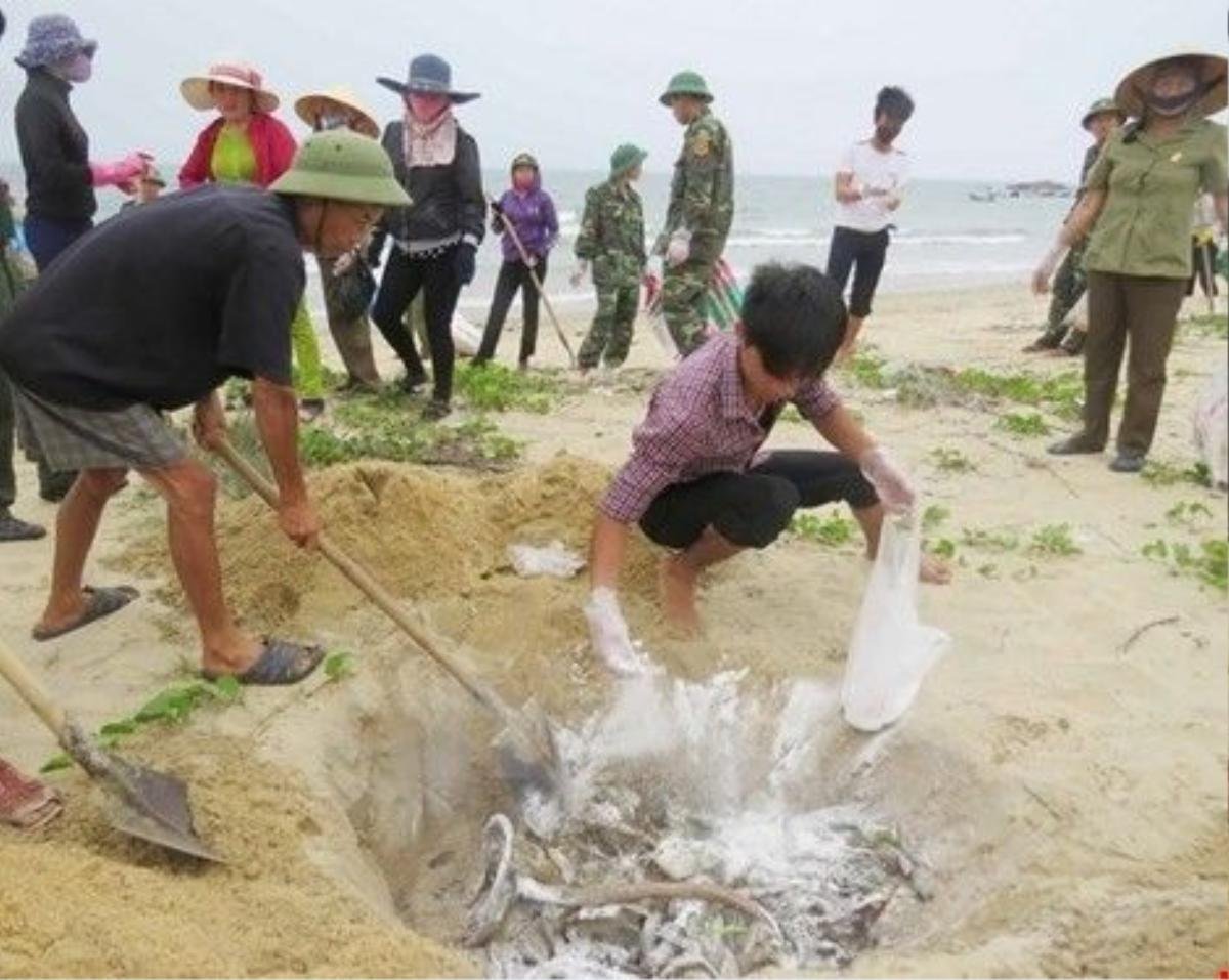 Người dân thu gom cá chết dạt vào bờ biển miền Trung. (Nguồn: TTXVN)