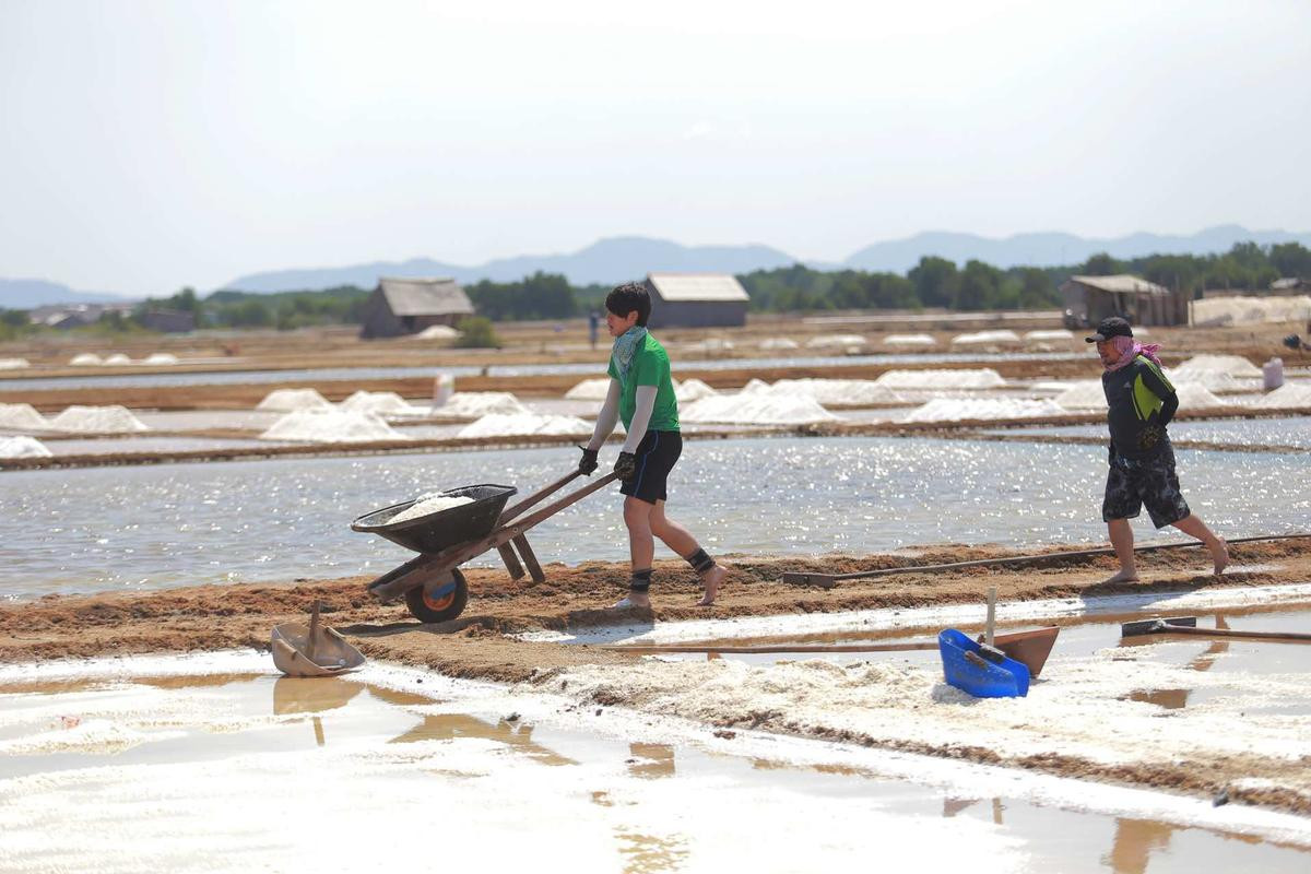 2 - Lua chon kep Thu hoach muoi 2