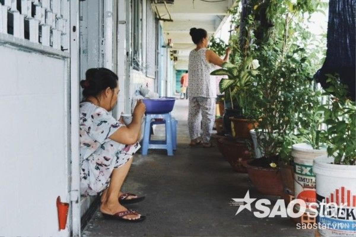 "Bán anh em xa, mua láng giềng gần". Có khi họ còn thân thiết hơn cả gia đình. 