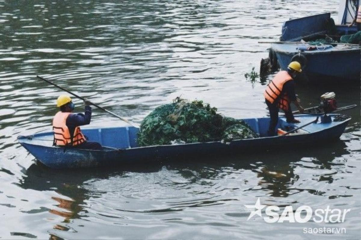 Những chiếc thuyền nhỏ vẫn đang miệt mài thu gom xác cá và rác trong kênh.