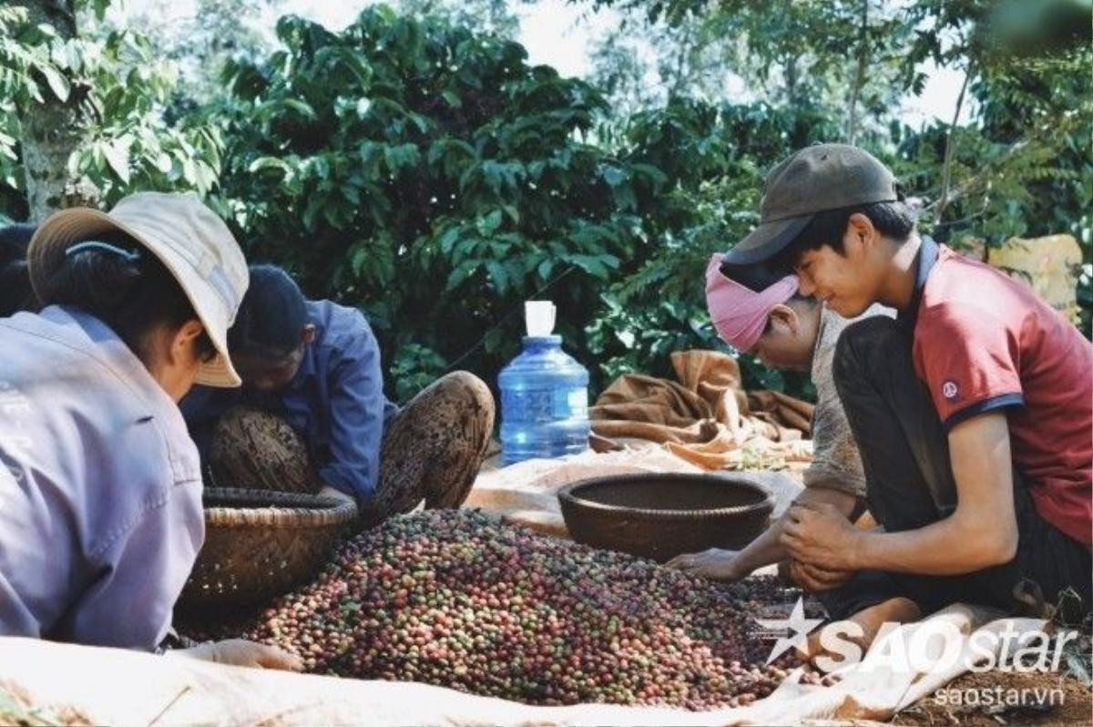 Những gương mặt tảo tần quanh năm bên hạt cà phê.