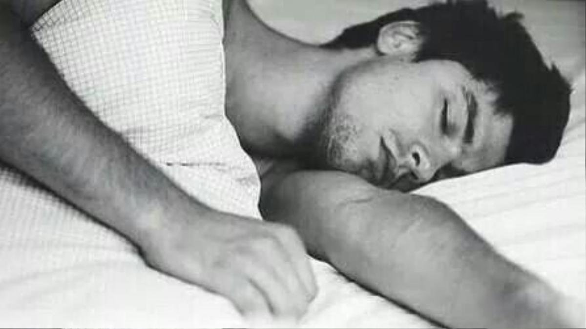 06 lazy sebastian stan 1