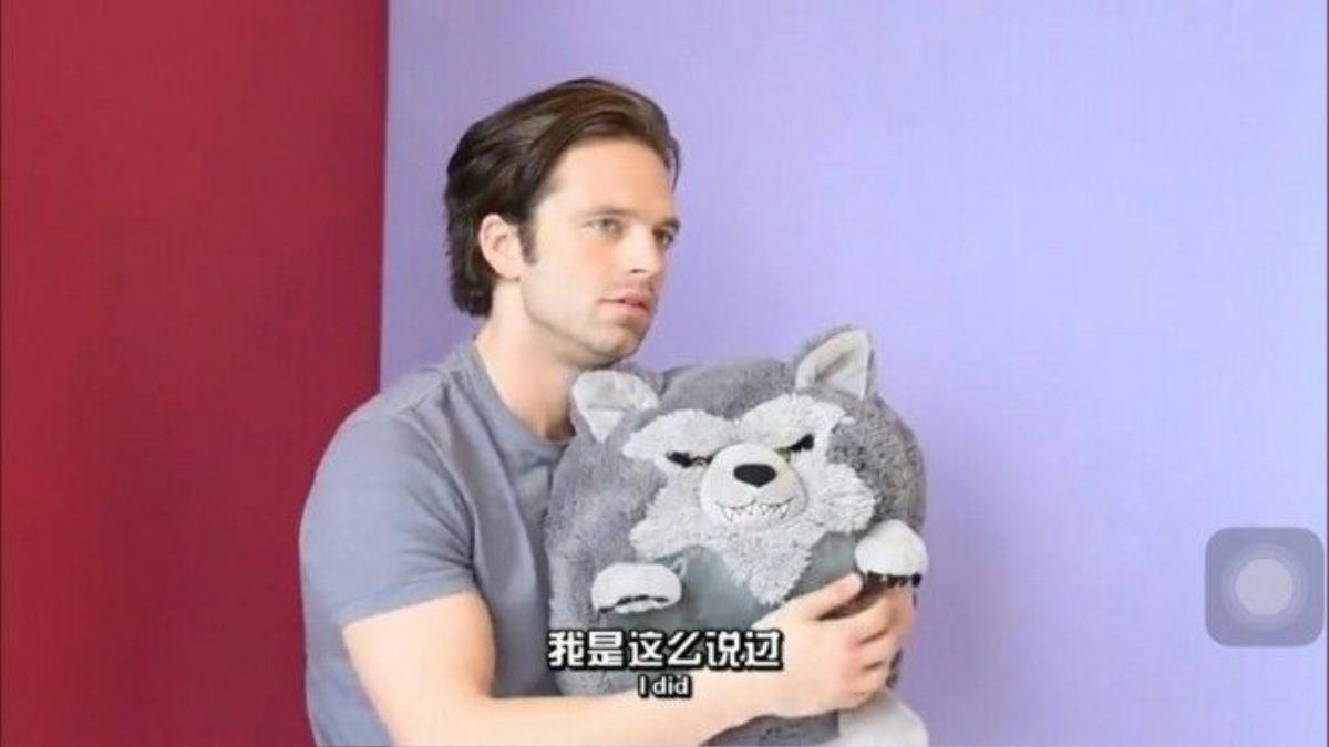 fun-21 sebastian stan and wolf