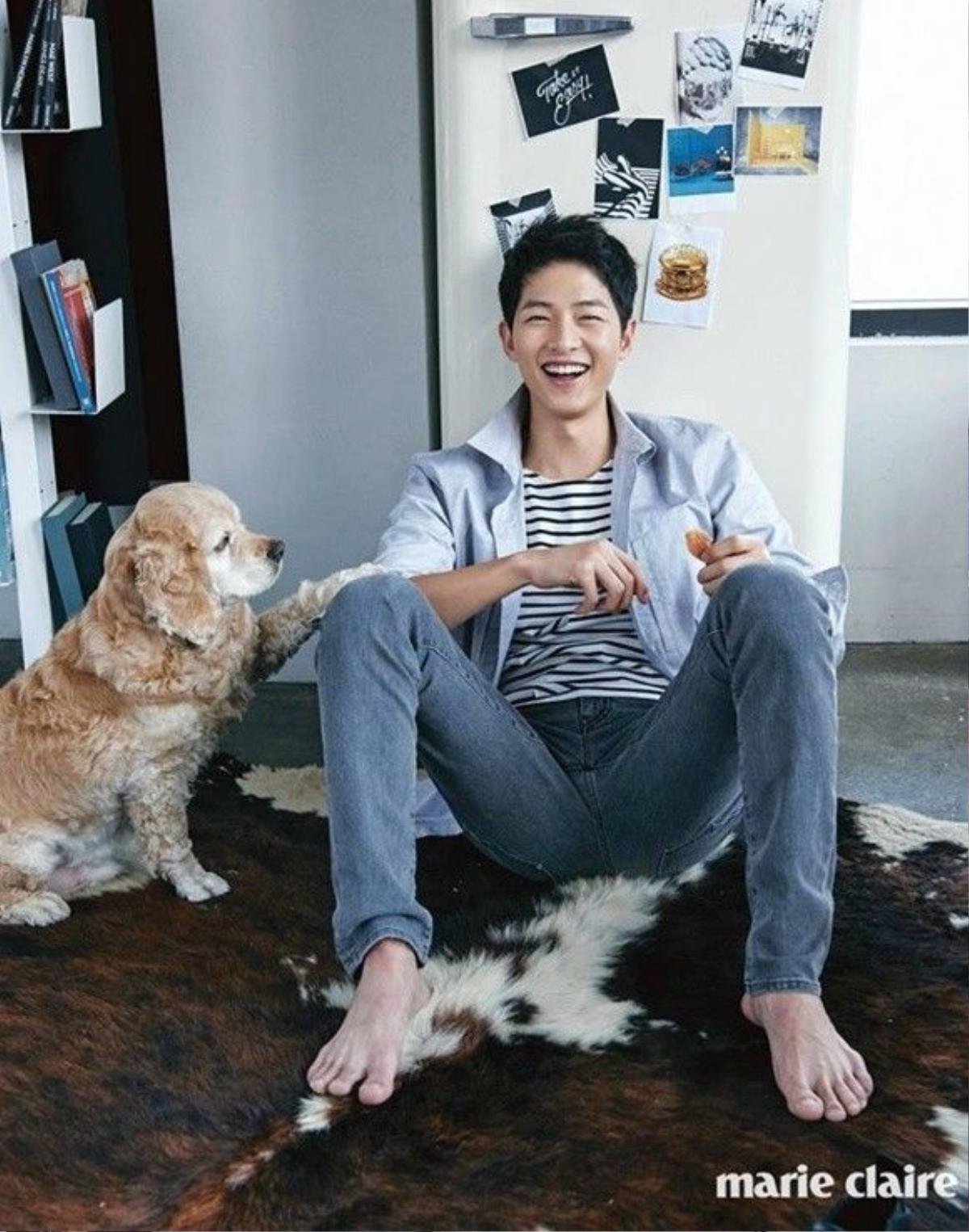 songjoongki (11)