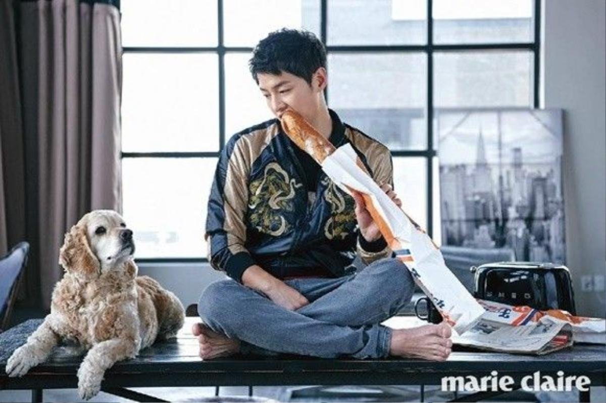 songjoongki (5)