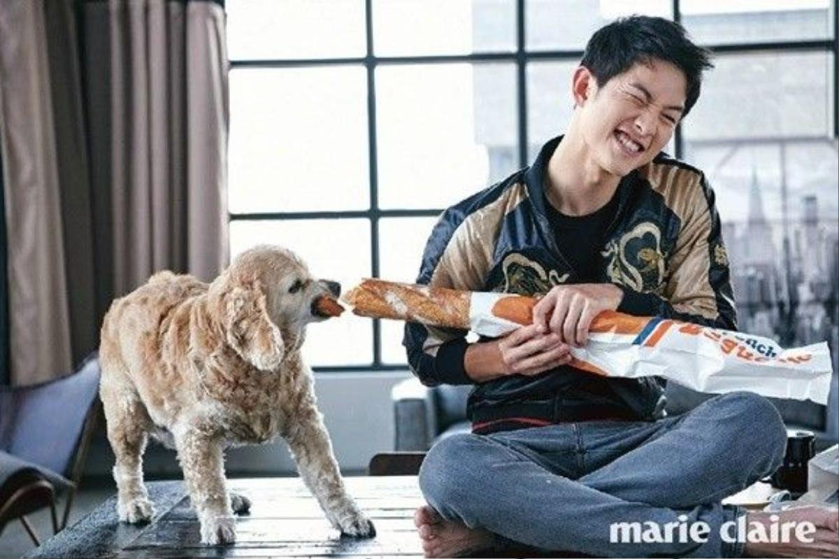 songjoongki (7)