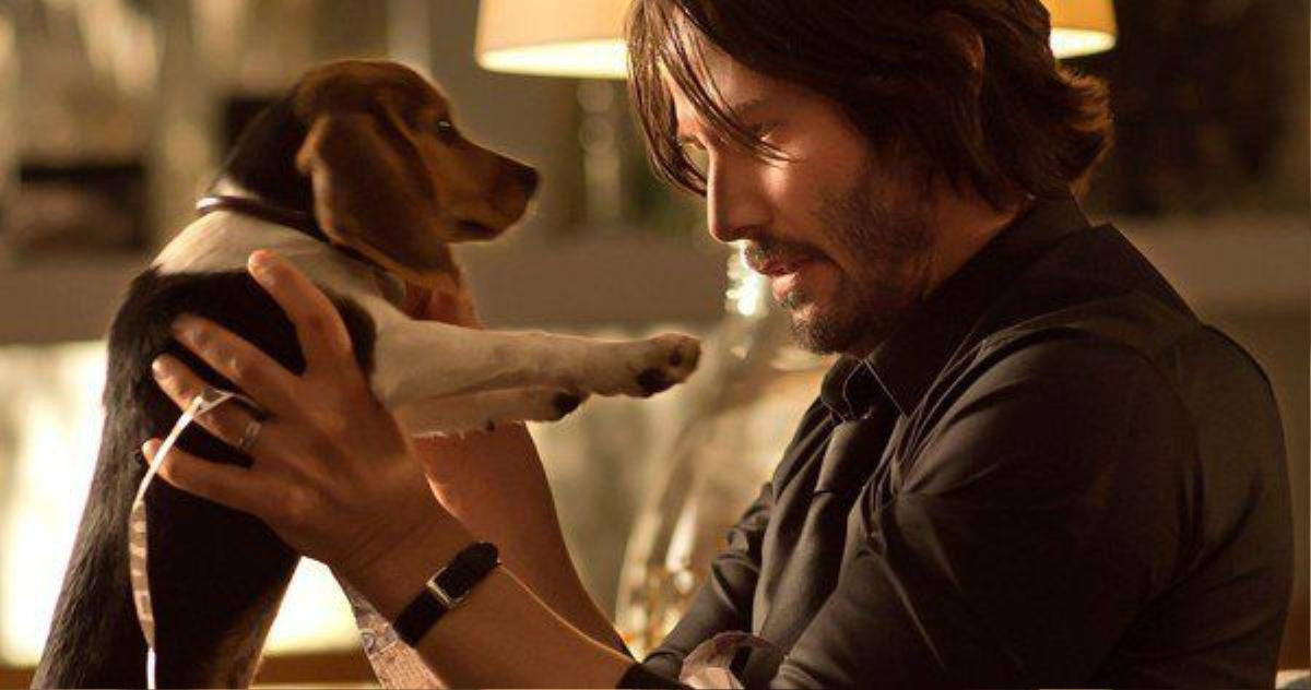 Keanu Reeves vẫn sẽ là người yêu chó trong John Wick 2.