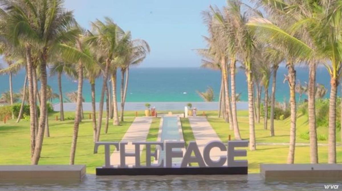 The Face (11)