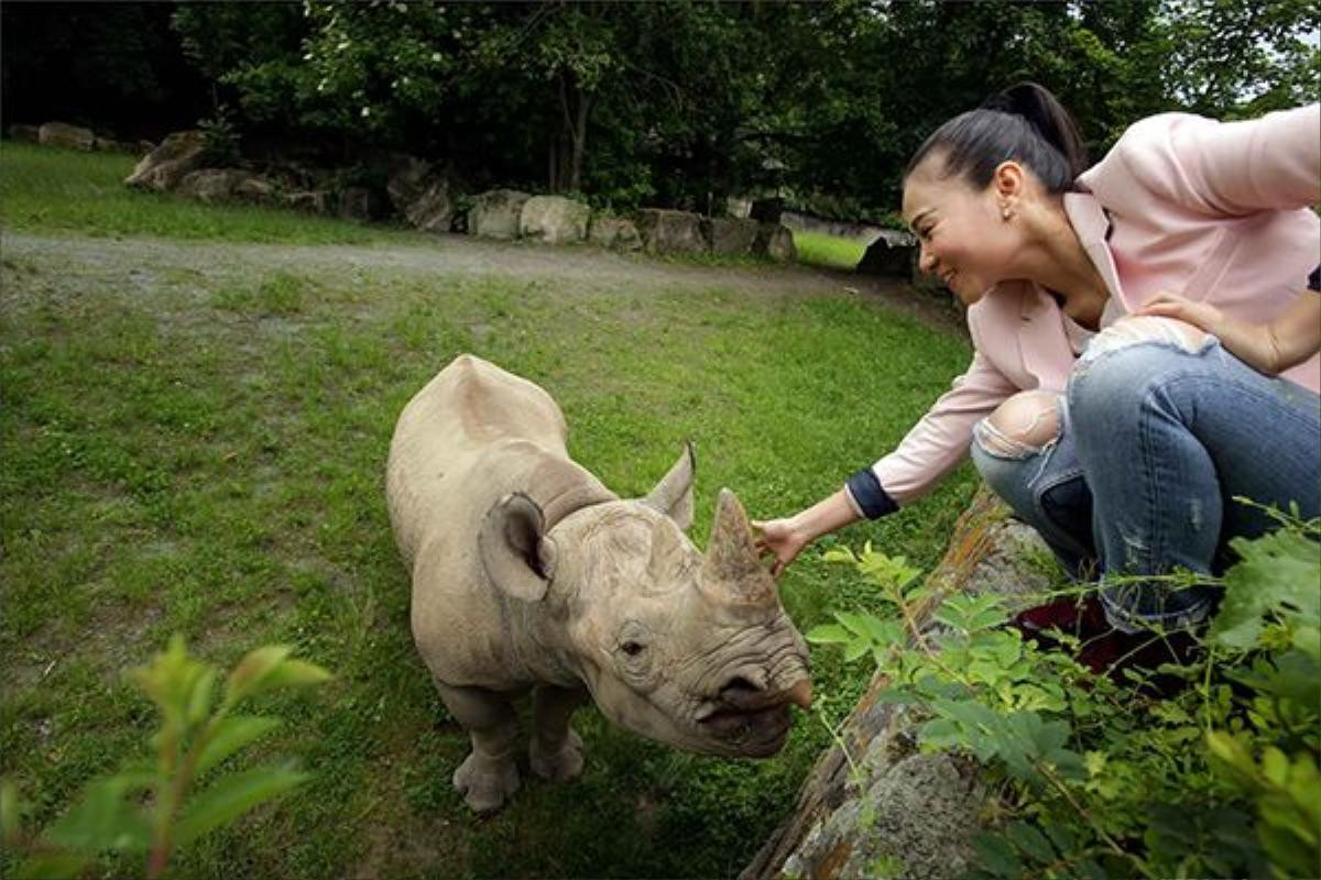 Vườn thú Dvur Kralove nổi tiếng trên toàn thế giới nhờ vào việc nuôi dưỡng, phát triển sinh sản thành công cho loài tê giác cũng như các hoạt động bảo tồn cho loài này. Eliska là con tê giác đen thứ tư được chuyển giao từ vườn thú trở về với Châu Phi nhằm hỗ trợ các hoạt động sinh sản cho loài tê giác tại địa phương. Trước đó việc chuyển giao tê giác về Tanzania cũng đã diễn ra rất thành công và sự sinh sản của loài cũng đã được phát triển tại đây.