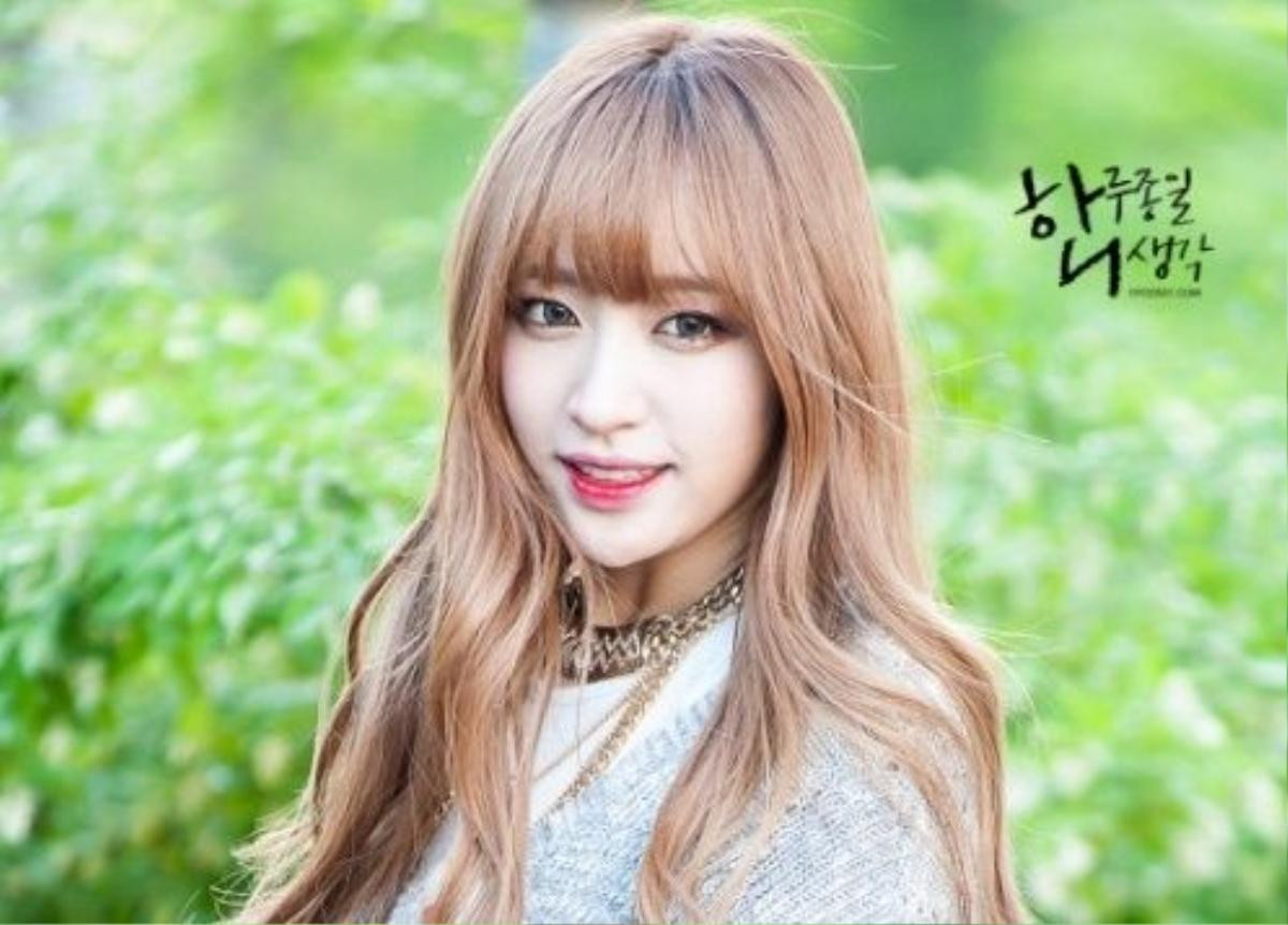 hani (5)