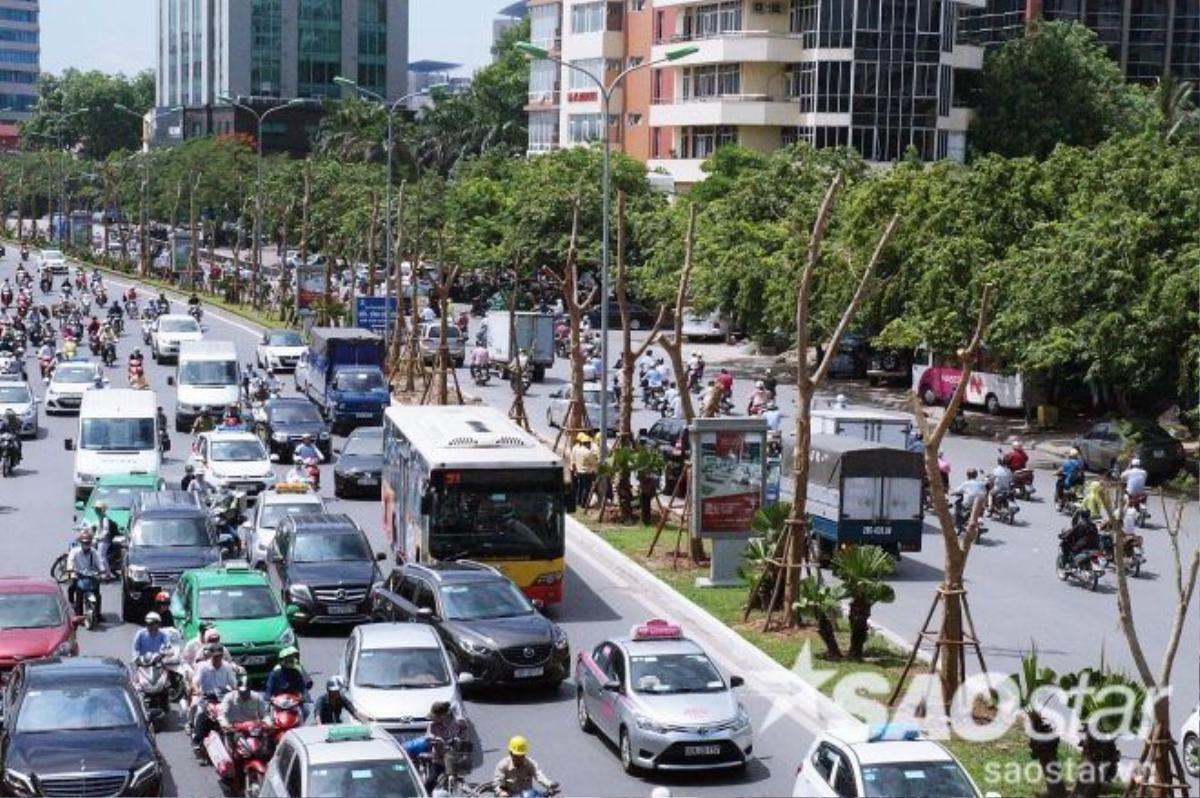 Chưa kể với lượng xe cộ lưu thông khá lớn, đặc biệt là sát với làn đường của ô tô nên những cây xanh này cũng sẽ khó phát triển như được trồng ở trên vỉa hè.