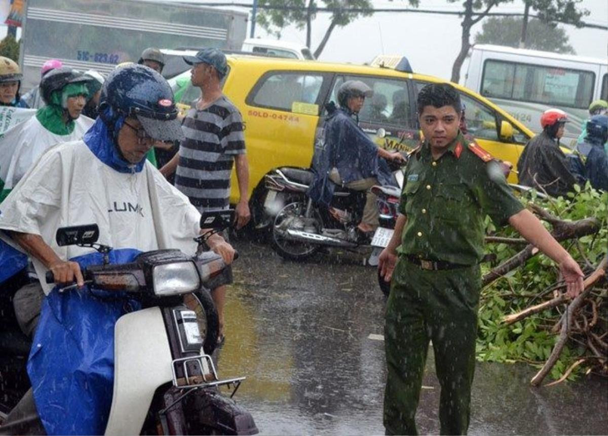 Mưa lớn cây đổ đè lên người đi xe máy ở Sài Gòn Ảnh 8