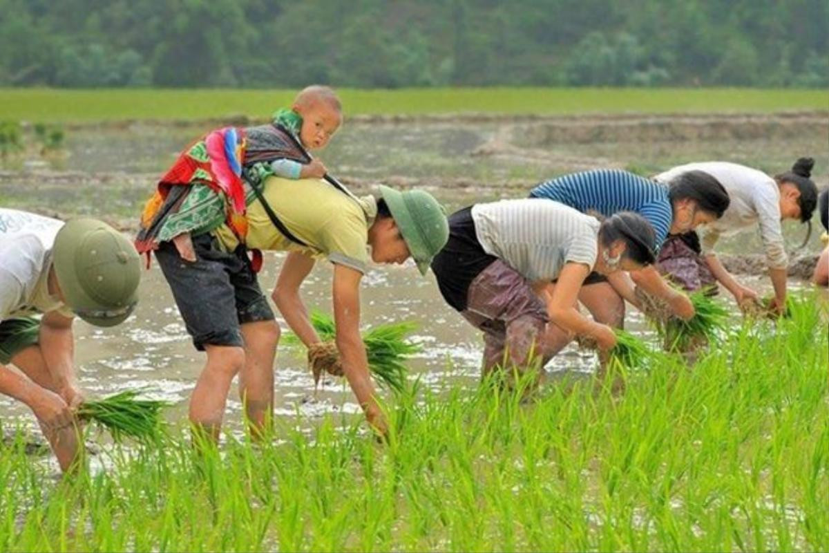 Con nằm ngoan trên lưng bố con nhé. 