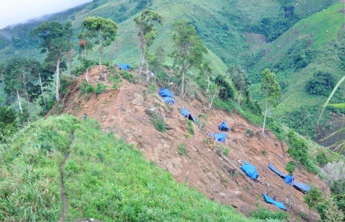 Đỉnh Cà Nhút (xã Trà Quân, huyện Tây Trà) tan hoang vì vàng tặc. Ảnh: Minh Hoàng. 