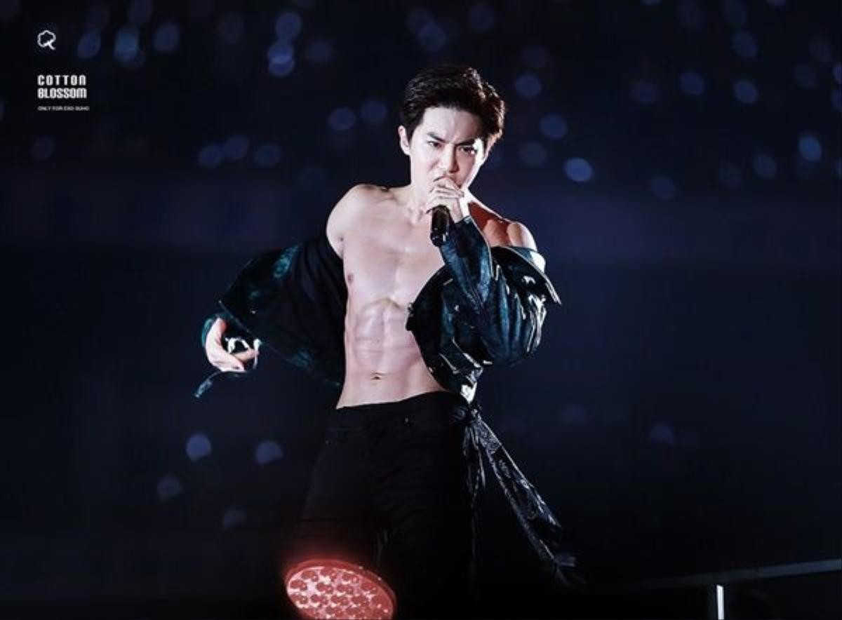 suho-abs-1024x754