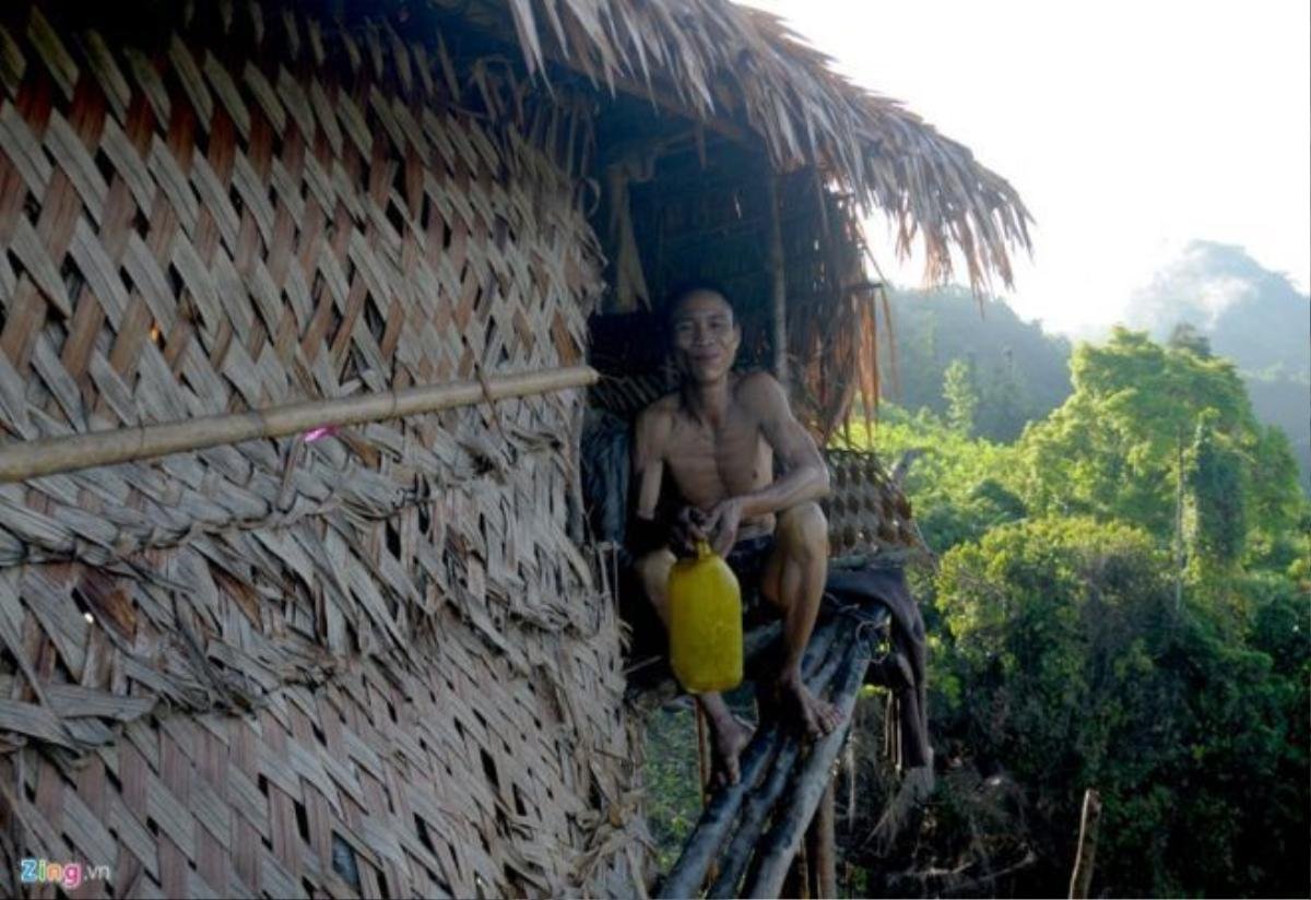 Cầu thang bắc lên chòi lá của anh Lang là ba thân cây keo ghép lại, buộc chặt bằng dây mây rừng. 