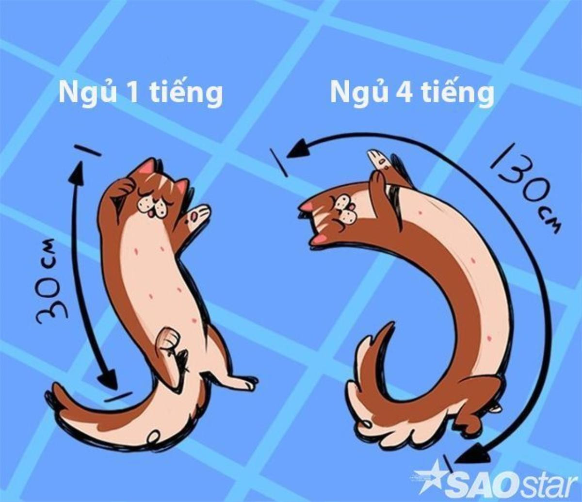 Ngủ càng lâu càng "biến dạng".