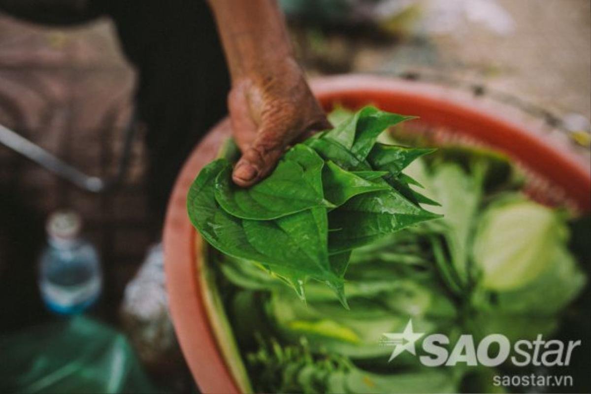 Lá trầu Bà Điểm chỉ nhỏ bằng một nửa so với lá trầu ở các sân trầu khác. Khách đến mua cũng đa phần là lớp người cũ "đã ăn quen vị".