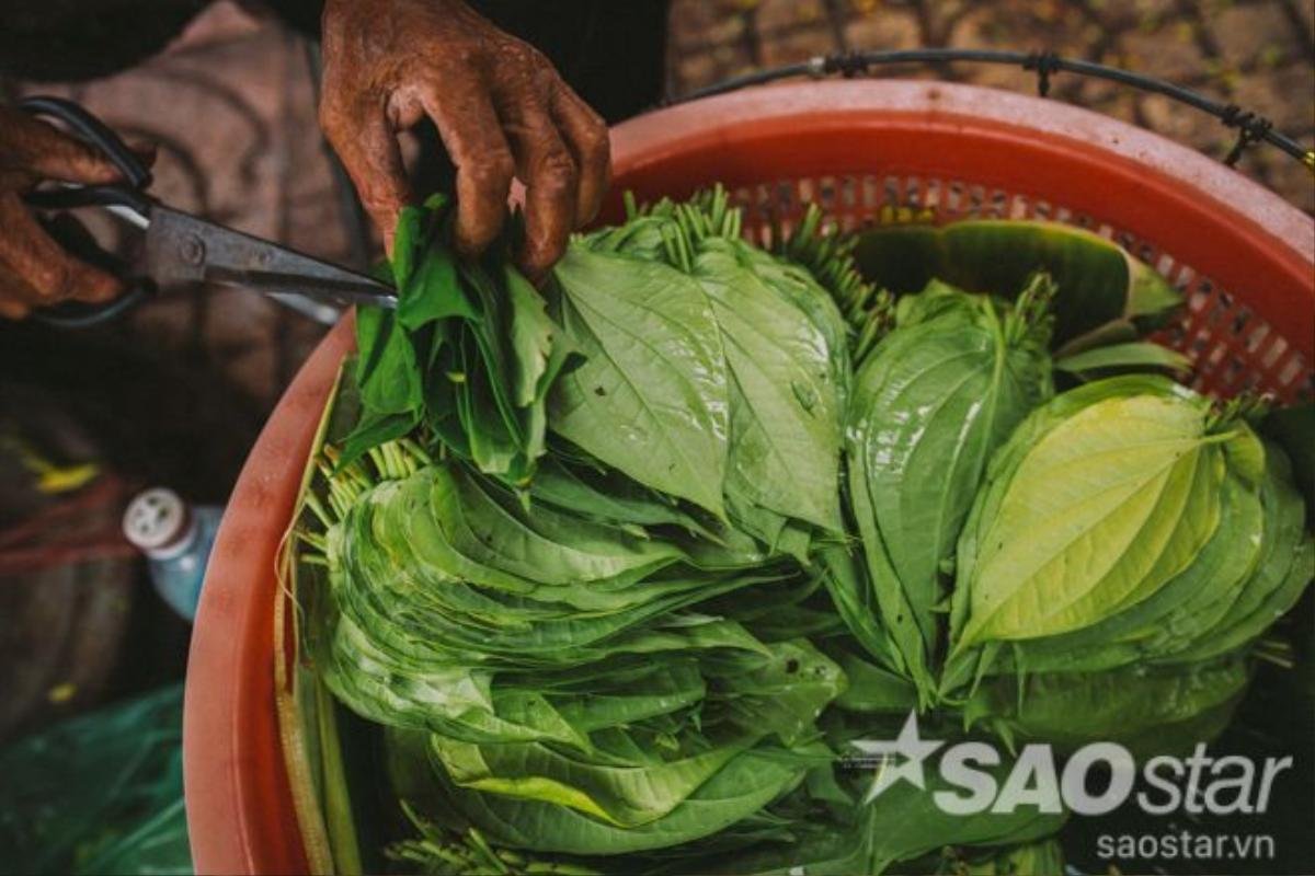 Hay cắt tỉa những chỗ lá sâu héo, để giữ cho trầu luôn có màu xanh mát mắt.