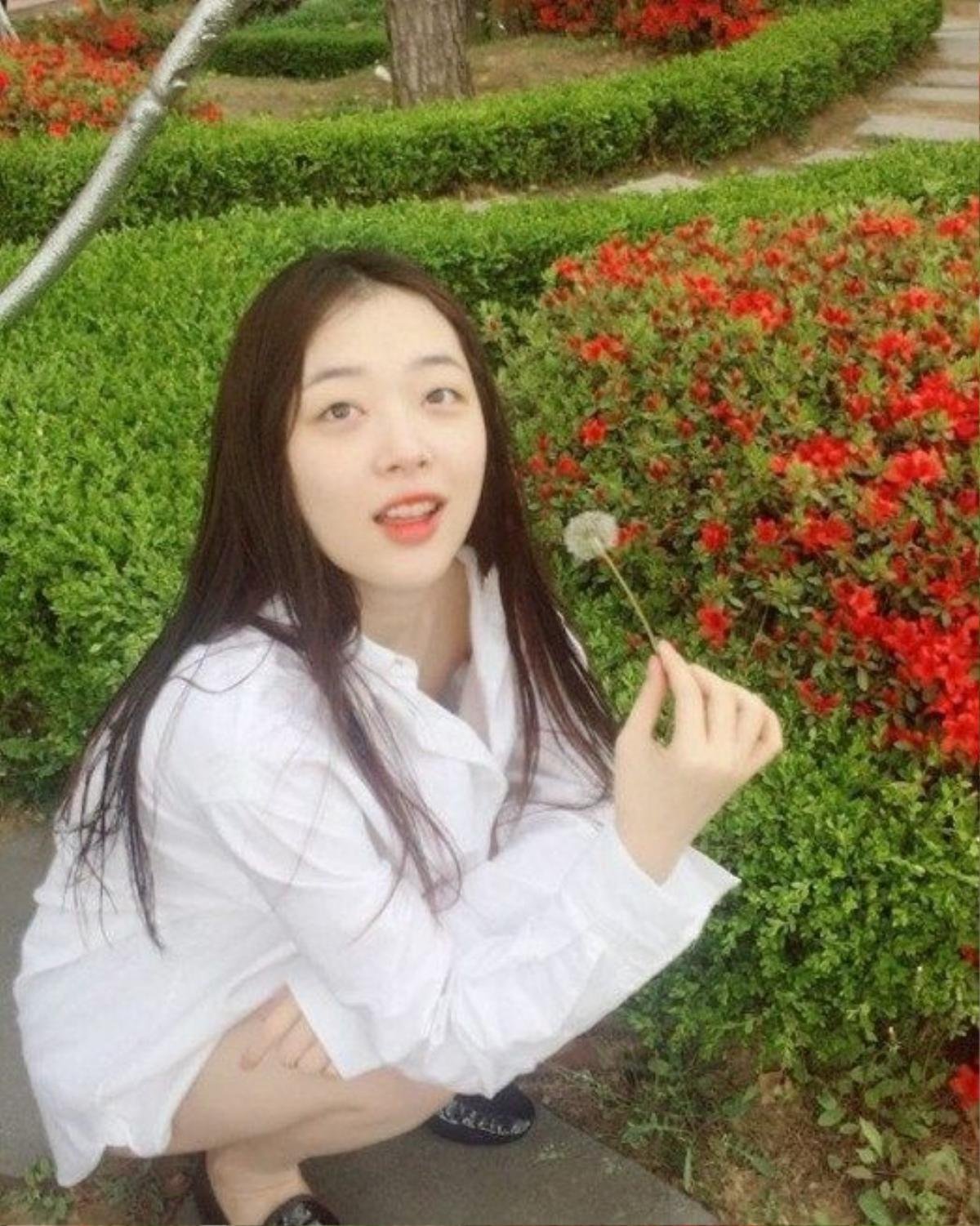 sulli-11