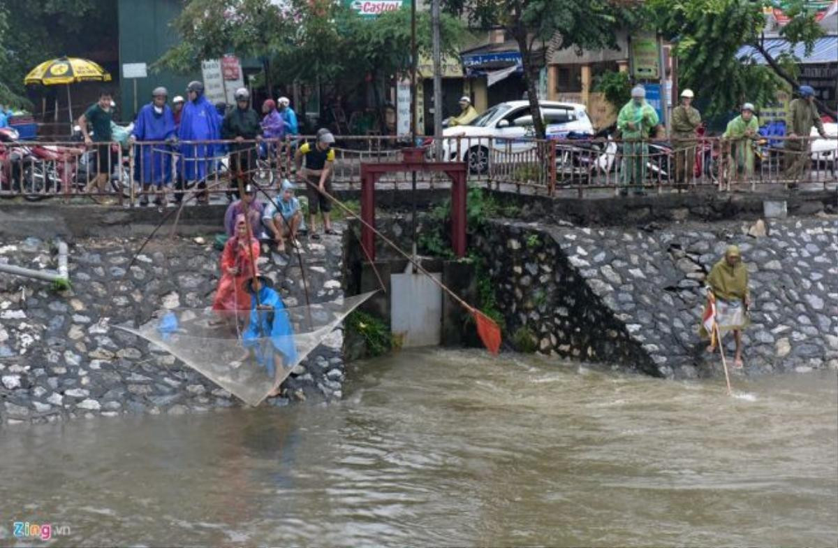 Ven sông Tô Lịch, trên đường Thanh Liệt (huyện Thanh Trì, Hà Nội) cũng nhộn nhịp cảnh thanh niên, trung niên đi bắt cá.