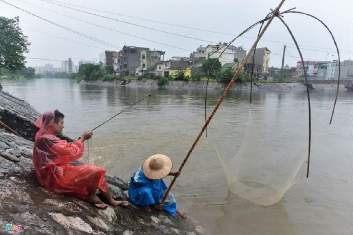 Năng suất nhất là nhóm kéo vó. Do nước từ mương chảy ra sông liên tục nên chỉ thả vó xuống vài chục giây là có thể kéo lên.