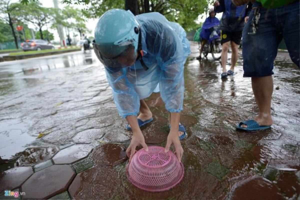 Cá quẫy khó khăn trôi cùng làn nước trên nền gạch đã bị người dân mang rổ ra bắt bằng sạch.