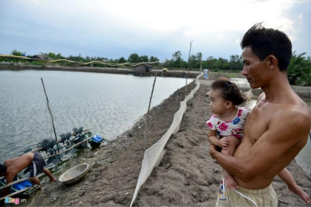 Anh Bình xót xa nhìn đám tôm chết dạt vào bờ nằm dọc ao, đây là ao tôm cuối năm ngoài làm anh tán gia bại sản. Theo chủ ao này, nguyên nhân tôm các ao tại ấp 3 này tiếp tục chết ở các vụ tiếp theo là ao, nguồn nước sông vẫn đang bị ô nhiễm.