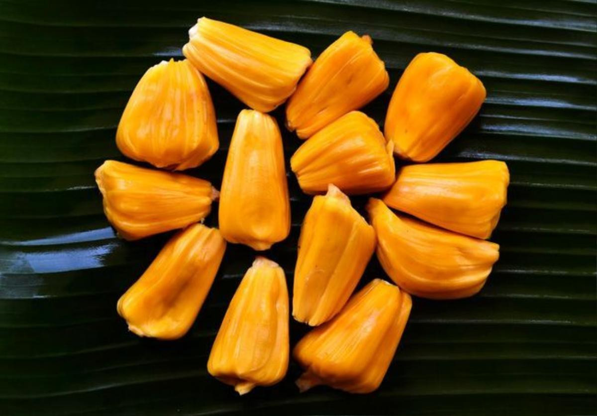 jackfruit02-1472800366663