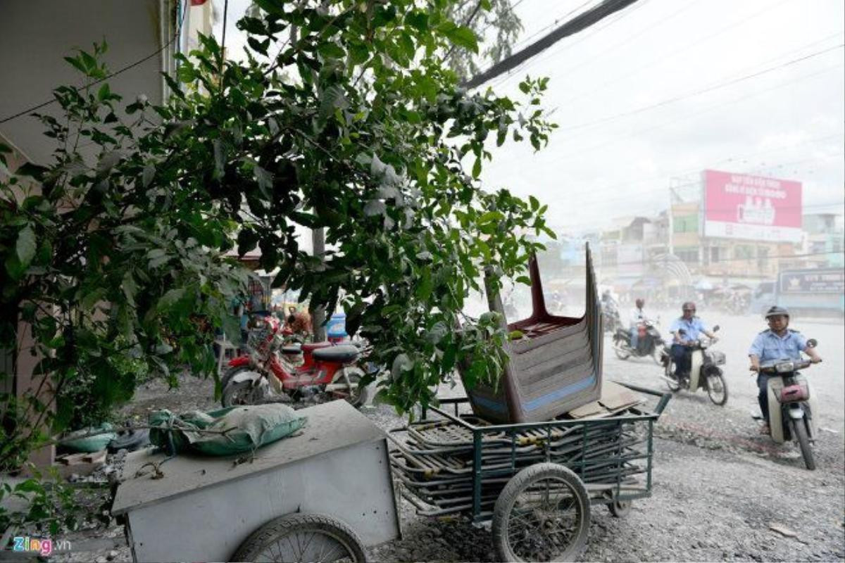 Dọc hai bên vỉa hè cây cối, đồ đạc, xe cộ, nhà cửa... dính lớp dày bụi trắng chỉ trong vài giờ đồng hồ.