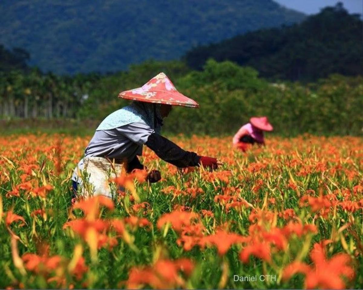 Đài Loan (Trung Quốc): Thời tiết dễ chịu, phong cảnh tuyệt đẹp là lý do nhiều người đánh giá mùa thu là thời gian đẹp nhất ở Đài Loan. Từ 1/9, công dân Việt Nam có visa Mỹ, Canada, Nhật, Schengen, Australia, New Zealand và Hàn Quốc (còn hạn, hoặc hết hạn cách ngày nhập cảnh không quá 10 năm), sẽ được xem xét miễn visa Đài Loan trong 30 ngày. Chính sách này khiến các tuyến bay từ Việt Nam tới xứ đảo này rất hút khách. Ảnh: Daniel CTH.