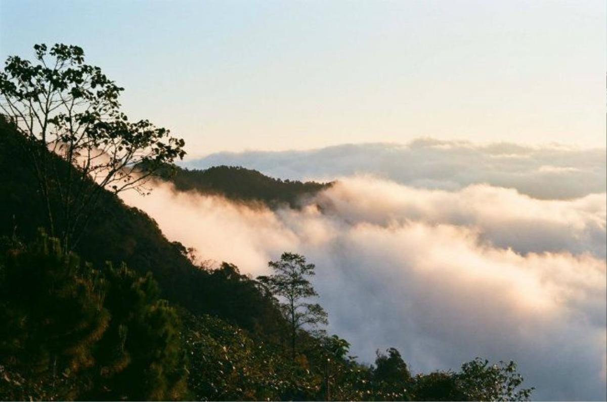 Mây Y Tý thường đẹp nhất vào mùa đông. Khi trời lạnh và sau mưa, gió nhẹ thì biển mây là lý tưởng. Leo lên những đỉnh cao nhìn xuống, thấy mây lúc bồng bềnh như một tấm thảm dày, lúc lại len lỏi giữa các ngọn cây như những sợi tơ lảng bảng. 