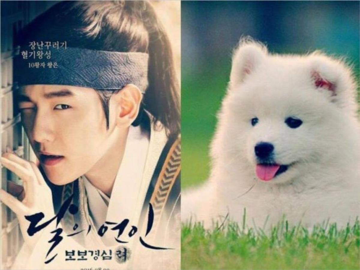 Có lẽ chẳng còn giống chó nào thích hợp với Eun như Samoyed. Wang Eun luôn là cậu trai mới lớn ngông ngênh nhưng không hiểu sự đời, vì vậy nên dễ bị kẻ xấu lợi dụng. Tuy nhiên anh chàng cũng chẳng kém phần đáng yêu. Cặp đôi Soo - Eun mỗi khi xuất hiện đều khiến khán giả không khỏi mỉm cười.