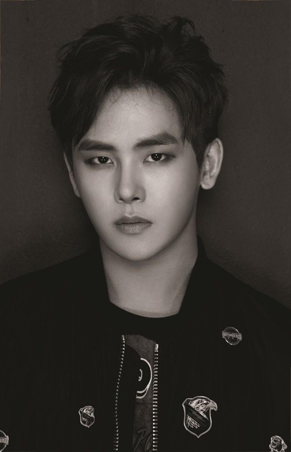 hoya