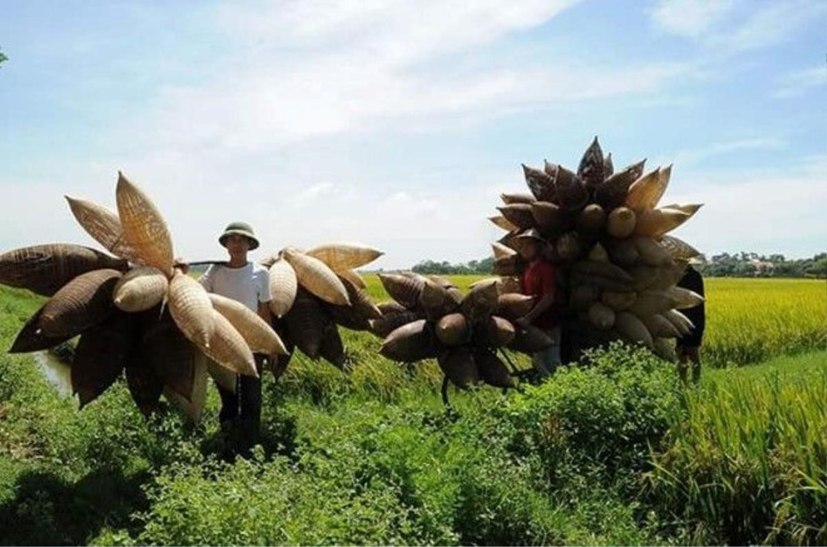 Đó có 3-4 loại, trong đó có 2 loại chính là đó hun và đó trắng. Đó trắng rẻ hơn, có giá khoảng 20.000 đồng một chiếc. 