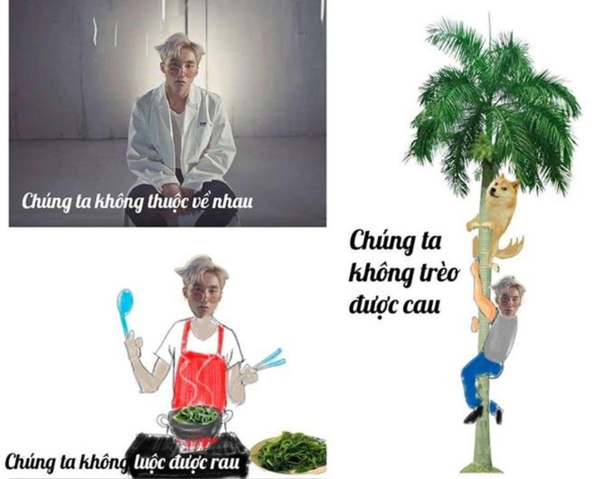 Tựa đề của ca khúc Chúng ta không thuộc về nhau được "những kẻ thích đùa" biến tấu thành nhiều phiên bản hài hước như "Chúng ta không luộc được rau" hay "Chúng ta không trèo được cau"... Ảnh: Chúng ta không luộc được rau +.