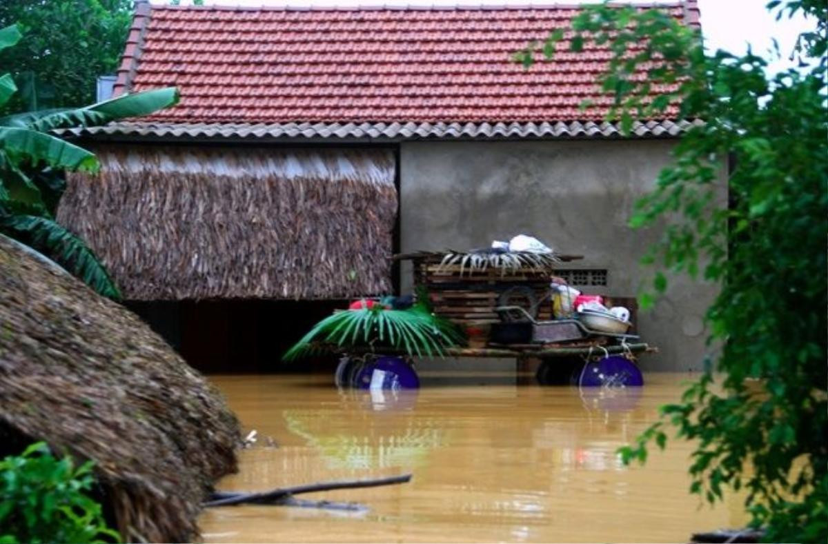 Mưa lũ cũng làm 200 ha lúa mùa bị ngập, 400 ha bưởi Phúc Trạch - đặc sản địa phương bị ảnh hưởng, 1.000 tấn lúa đã thu hoạch bị hư hỏng, nhiều công trình giao thông, thủy lợi, trường học, đường điện ngập sâu trong nước.