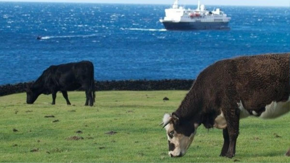 Tristan da Cunha không phải một nơi du khách có thể thích thì ghé thăm. Ngoài việc không có đường băng cho máy bay, bạn phải được sự chấp thuận của Hội đồng quản trị đảo mới có thể đặt chân đến. Cách dễ nhất để xin phép là liên hệ qua email với thư ký của người quản lý đảo, đồng thời cung cấp một giấy chứng nhận lý lịch do cảnh sát Anh cấp. Ảnh: Brian Gratwicke/Flickr.