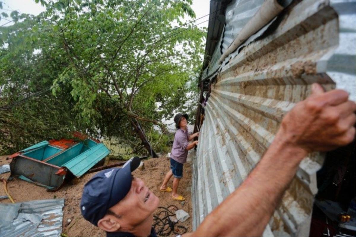 Theo thống kê của Ban chỉ huy phòng chống thiên tai và tìm kiếm cứu nạn huyện Đồng Xuân, tính đến sáng 5/11, toàn huyện đã có 3 căn nhà bị sập hoàn toàn, 76 con gia súc và trên 2.500 con gia cầm bị nước lũ cuốn trôi, tổng thiệt hại ước tính hơn 40 tỷ đồng. Sau khi nước rút, gia đình bà Trần Thị Thảo Trang (thị trấn La Hai, huyện Đồng Xuân) sửa sang lại căn nhà lợp tôn bị mưa lũ làm hư hỏng. Bà Trang cho biết, trận lũ vào đêm 3/11 tuy không làm sập nhà nhưng đã cuốn trôi nhiều đồ đạc trong gia đình. 