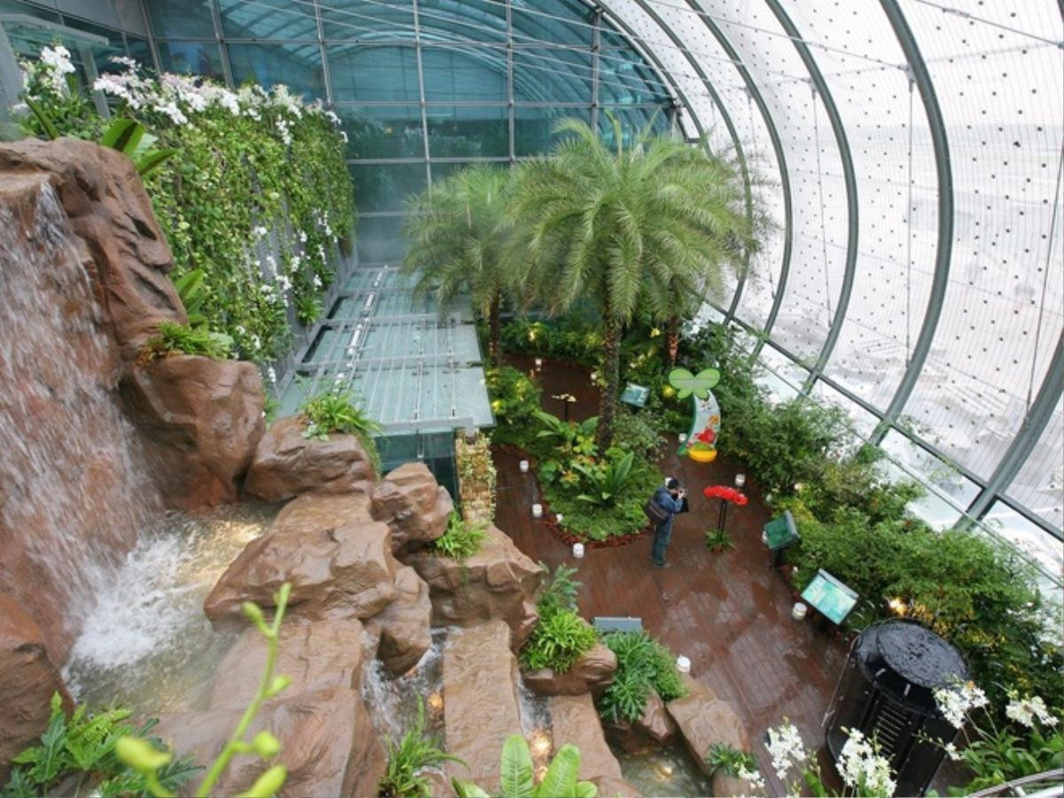 Sân bay Changi, Singapore, có khu vườn hai tầng với một thác nước nhân tạo cao hơn 8 m, một khu vườn trồng 40 loại xương rồng, phong lan và hướng dương. Sân bay còn trang bị một bể bơi trên mái, một số khách sạn, một trong những ống trượt cao nhất thế giới và khu Fish Spa với nhiều liệu pháp khác nhau. 