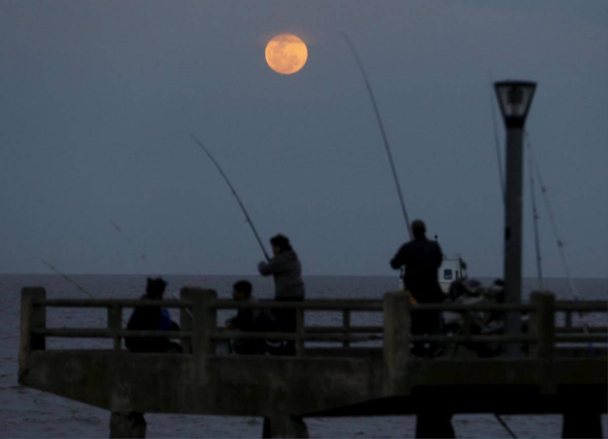 Ảnh: Reuters/Enrique Marcarian