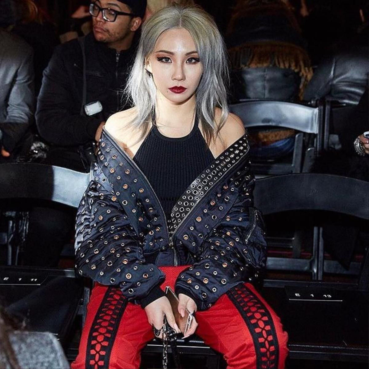 cl-at-alexander-wang